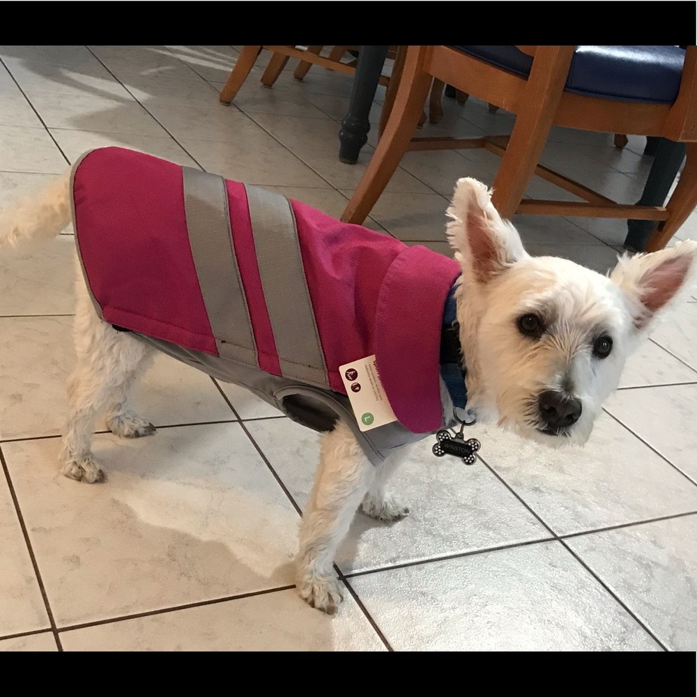🎉HP🎉NWT Good2Go sport jacket